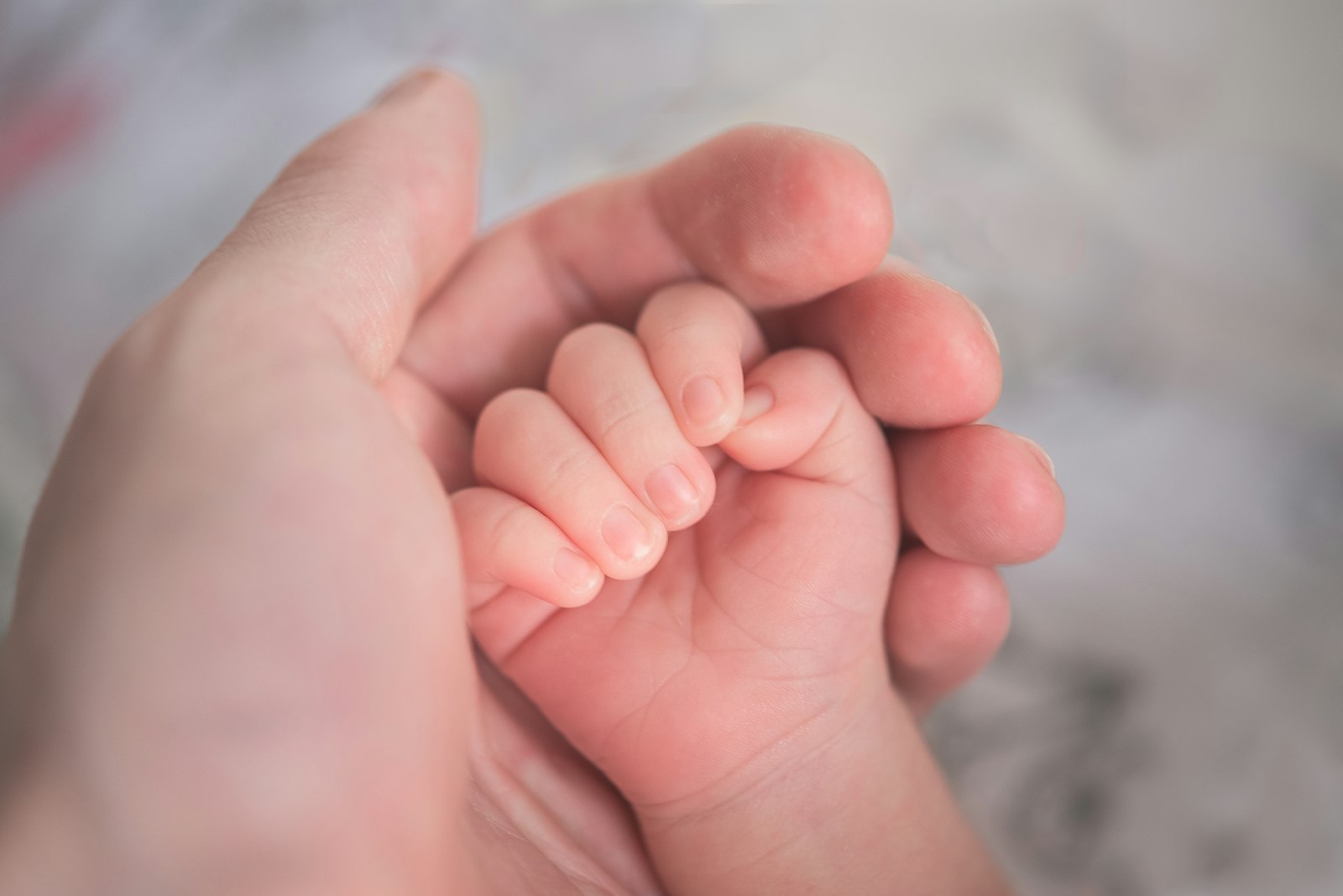 Main d’un adulte tenant la main d’un bébé, image d’illustration pour un article sur les allocations familiales.